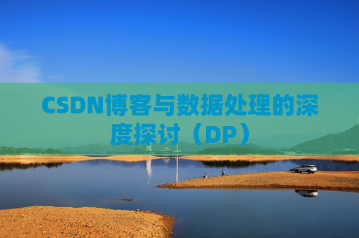 CSDN博客与数据处理的深度探讨（DP）